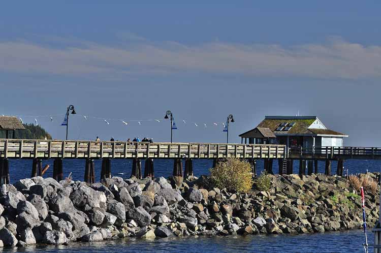 harbor
